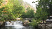 photo thumbnail #2