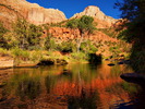 photo thumbnail #5