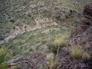 photo thumbnail #12
