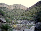 photo thumbnail #2