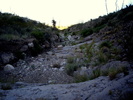 photo thumbnail #8