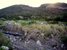 photo thumbnail #10