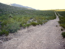photo thumbnail #12