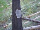 photo thumbnail #9