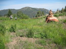 photo thumbnail #6
