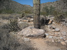 photo thumbnail #3