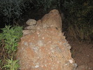 photo thumbnail #1