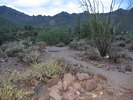 photo thumbnail #2