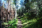 photo thumbnail #14