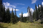 photo thumbnail #8