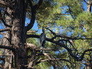 photo thumbnail #15