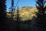 photo thumbnail #5