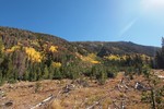 photo thumbnail #11