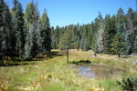 photo thumbnail #10