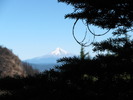 photo thumbnail #5