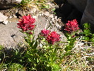 photo thumbnail #11