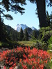 photo thumbnail #13
