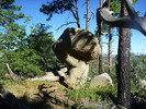 photo thumbnail #4