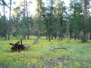 photo thumbnail #7
