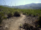 photo thumbnail #3
