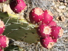 photo thumbnail #11