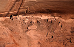 photo thumbnail #11