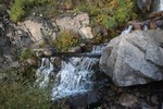photo thumbnail #4