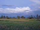 photo thumbnail #12