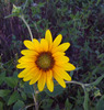 photo thumbnail #13