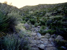 photo thumbnail #9