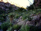 photo thumbnail #12