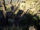 photo thumbnail #14