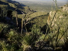 photo thumbnail #15