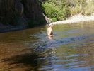 photo thumbnail #2