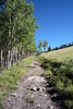 photo thumbnail #9