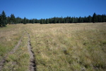 photo thumbnail #11