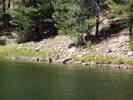 photo thumbnail #3