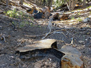 photo thumbnail #10
