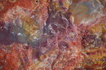 Featured Detail Photo