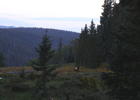 photo thumbnail #15