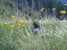 photo thumbnail #1