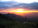 photo thumbnail #5