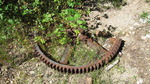 photo thumbnail #13