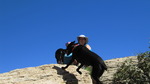 photo thumbnail #12