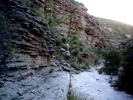 photo thumbnail #12