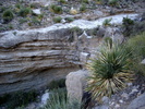 photo thumbnail #13