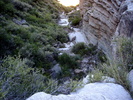 photo thumbnail #14