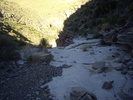 photo thumbnail #15