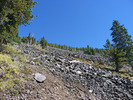 photo thumbnail #6