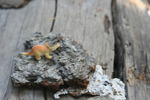 photo thumbnail #2